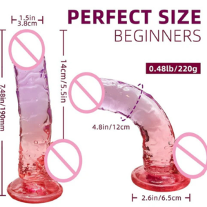 CRYSTAL PENIS TWIN COLOR DILDO