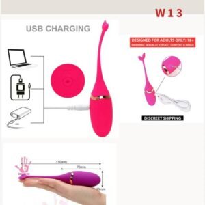 WIRELESS FISH VIBRATING EGG WITH USB(MULTIE)